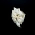 Ribbon Hair Clips, Lace Hair Clips, Flower Hair Clips, Womens Hair Clips, School Hair Clips